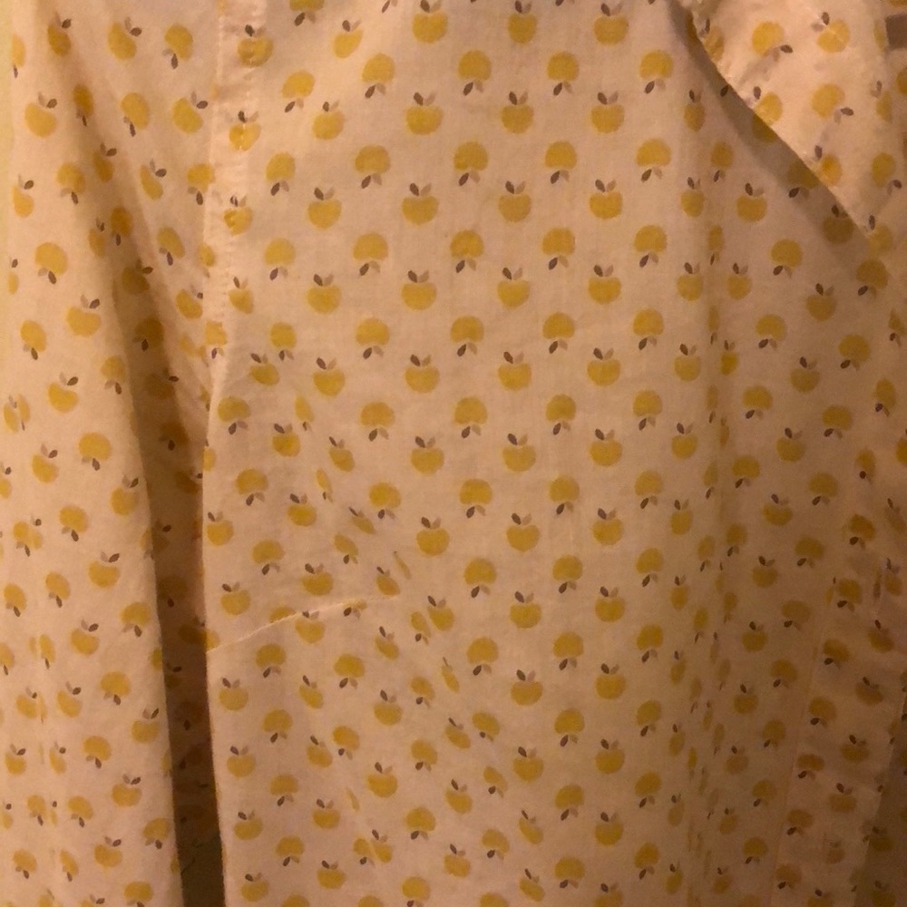 Apple Print Button Down - image 2